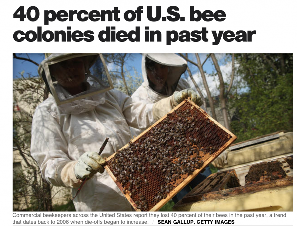bees dying